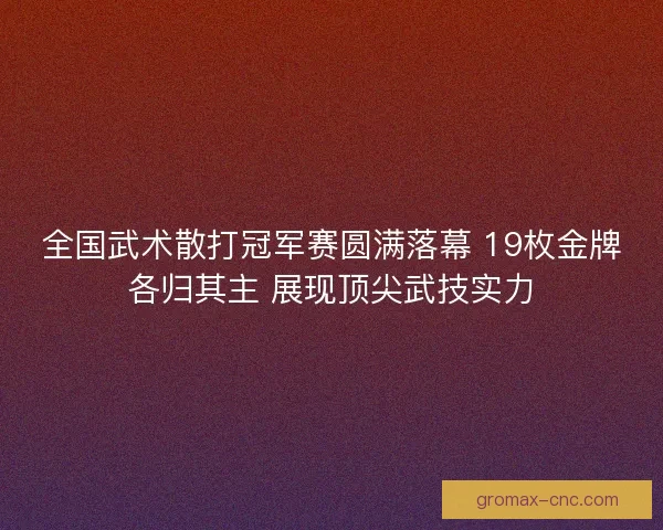 全国武术散打冠军赛圆满落幕 19枚金牌各归其主 展现顶尖武技实力