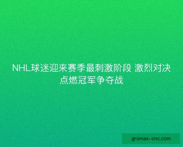 NHL球迷迎来赛季最刺激阶段 激烈对决点燃冠军争夺战